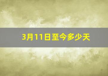 3月11日至今多少天