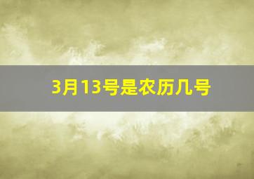 3月13号是农历几号