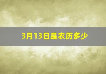 3月13日是农历多少