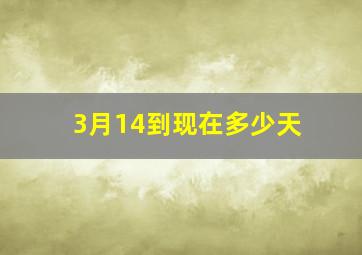 3月14到现在多少天