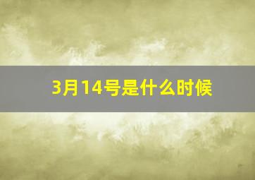 3月14号是什么时候