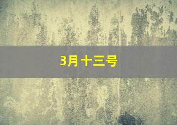 3月十三号