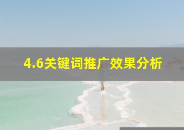 4.6关键词推广效果分析