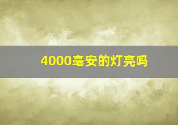 4000毫安的灯亮吗