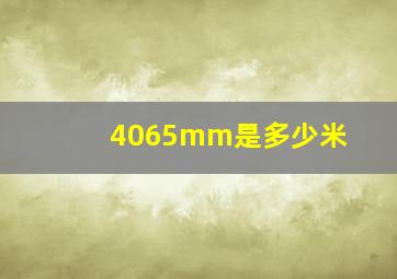 4065mm是多少米