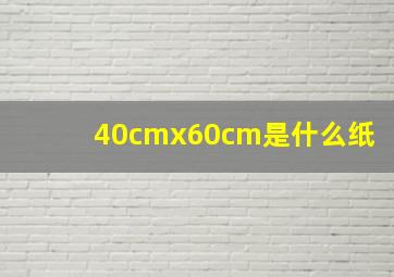 40cmx60cm是什么纸