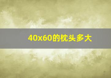 40x60的枕头多大