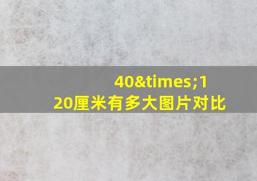 40×120厘米有多大图片对比