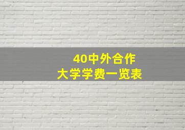 40中外合作大学学费一览表