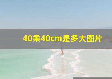 40乘40cm是多大图片