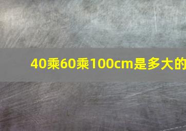 40乘60乘100cm是多大的