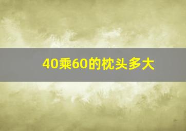 40乘60的枕头多大