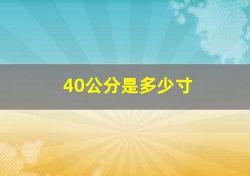 40公分是多少寸