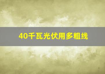 40千瓦光伏用多粗线