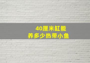 40厘米缸能养多少热带小鱼