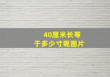 40厘米长等于多少寸呢图片