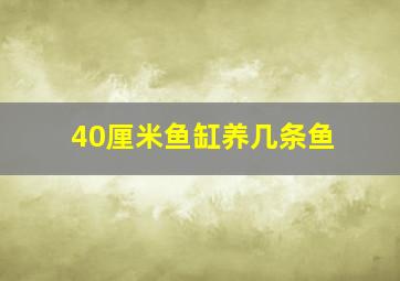 40厘米鱼缸养几条鱼