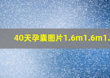 40天孕囊图片1.6m1.6m1.0Cm