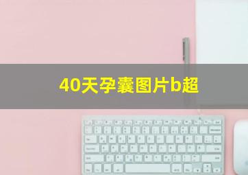 40天孕囊图片b超