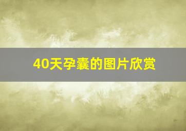 40天孕囊的图片欣赏