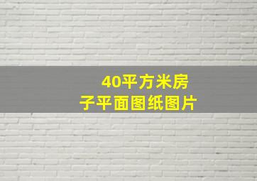 40平方米房子平面图纸图片