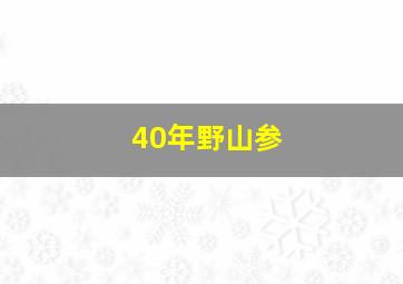 40年野山参