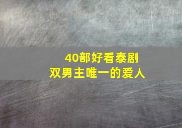 40部好看泰剧双男主唯一的爱人