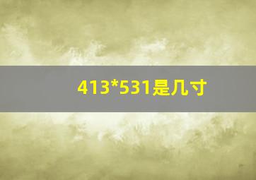 413*531是几寸