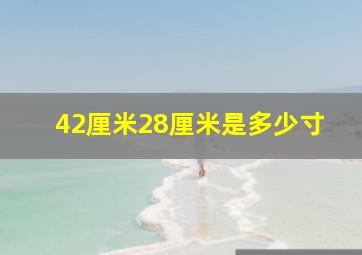 42厘米28厘米是多少寸