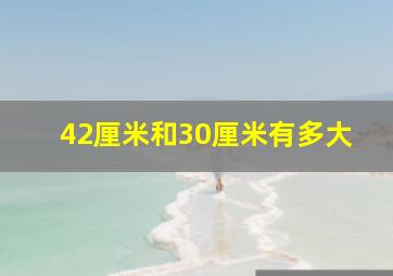 42厘米和30厘米有多大