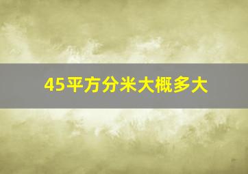 45平方分米大概多大