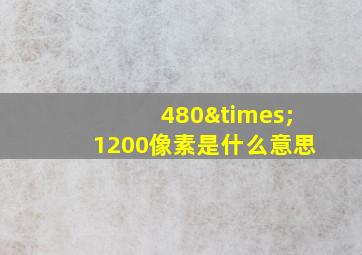 480×1200像素是什么意思