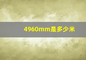 4960mm是多少米