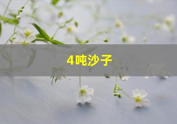 4吨沙子