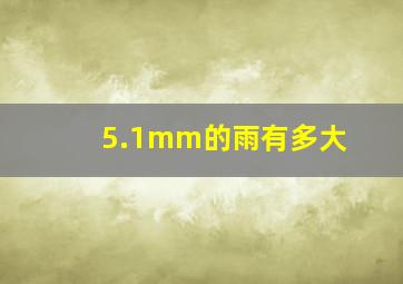 5.1mm的雨有多大