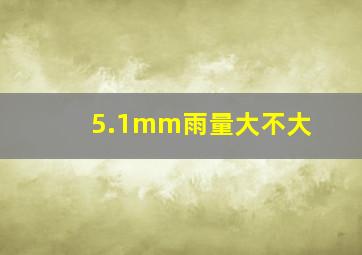 5.1mm雨量大不大