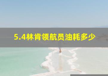 5.4林肯领航员油耗多少