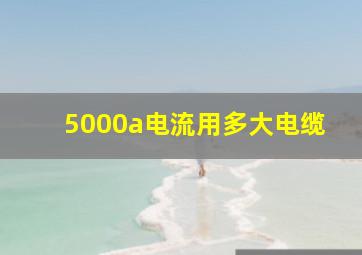 5000a电流用多大电缆