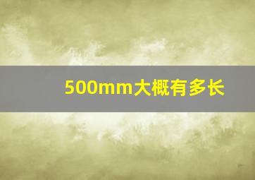 500mm大概有多长