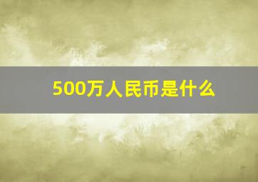 500万人民币是什么