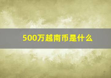 500万越南币是什么