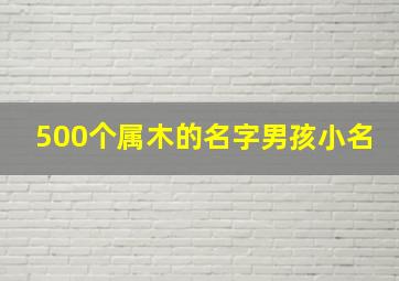 500个属木的名字男孩小名