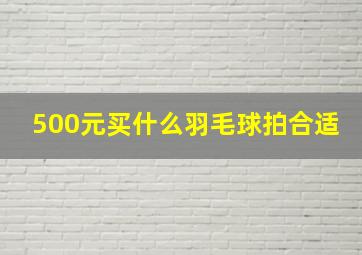 500元买什么羽毛球拍合适