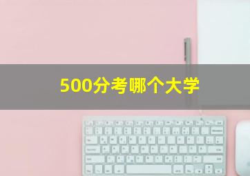 500分考哪个大学