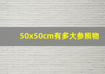 50x50cm有多大参照物