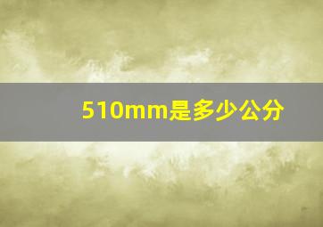 510mm是多少公分