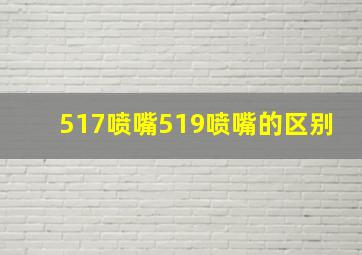 517喷嘴519喷嘴的区别