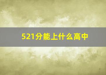 521分能上什么高中