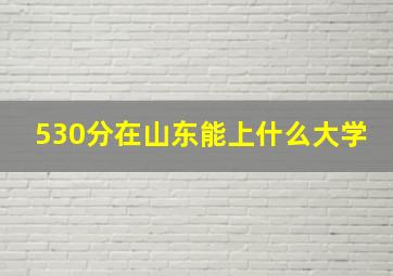 530分在山东能上什么大学