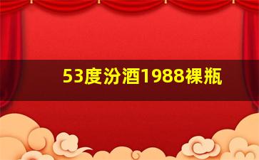 53度汾酒1988裸瓶